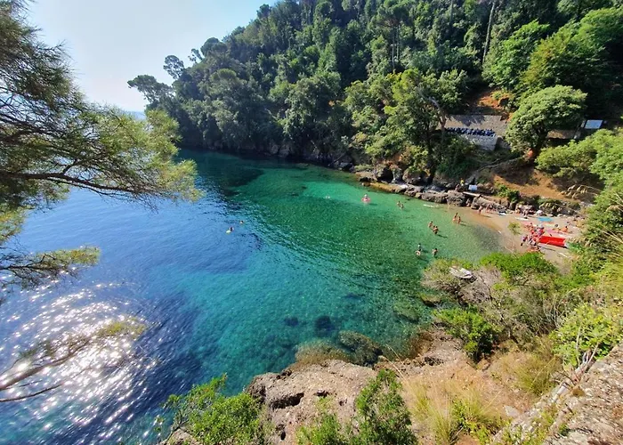 Casa Alexandra Apartmán